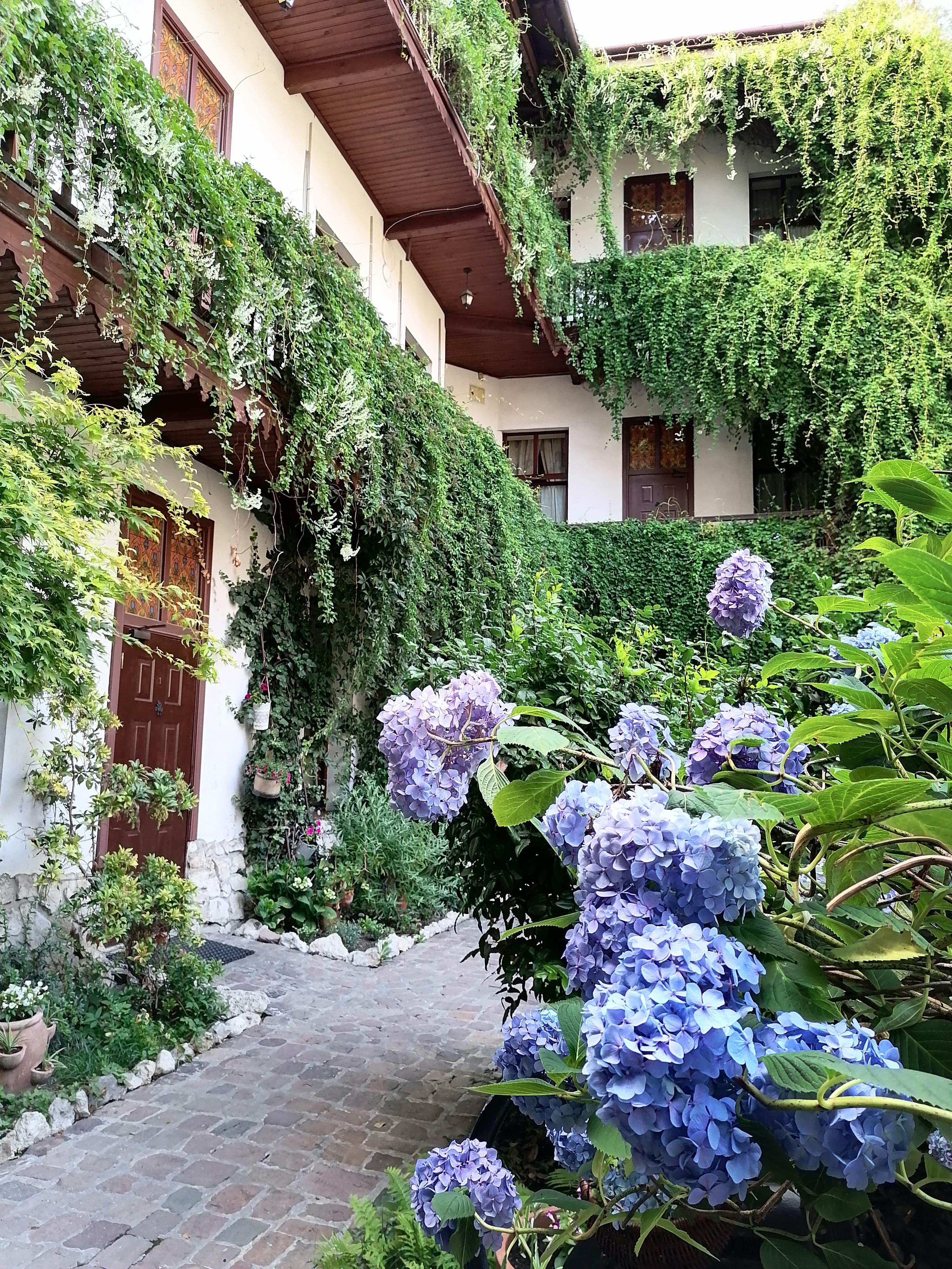 Globtroter Guest House Krakow Luaran gambar