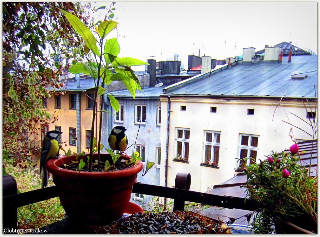 Globtroter Guest House Krakow Luaran gambar