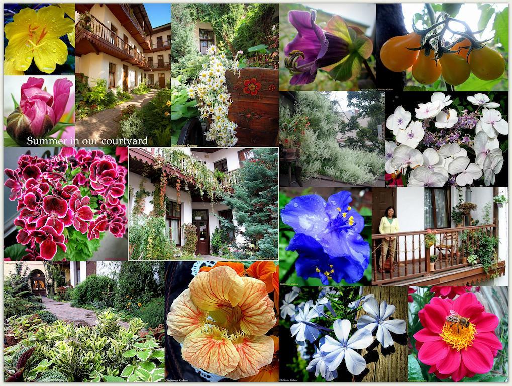 Globtroter Guest House Krakow Luaran gambar